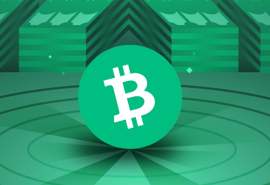 bitcoin cash vs bitcoin