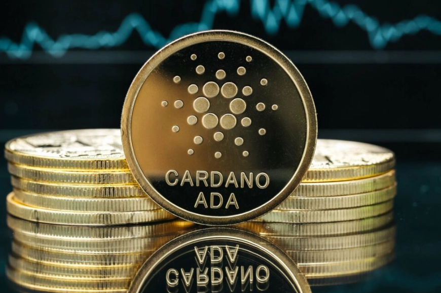 Cardano blockchain
