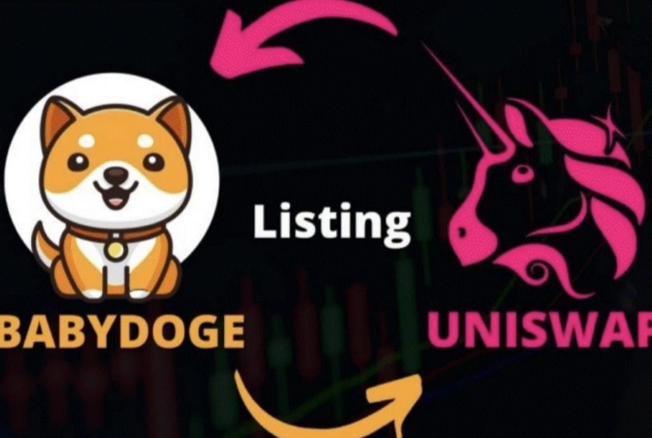 Baby Doge Coin Explained: A Beginner's Guide to the Meme Crypto