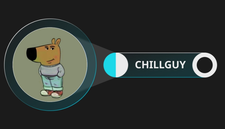 Chill Guy Coin