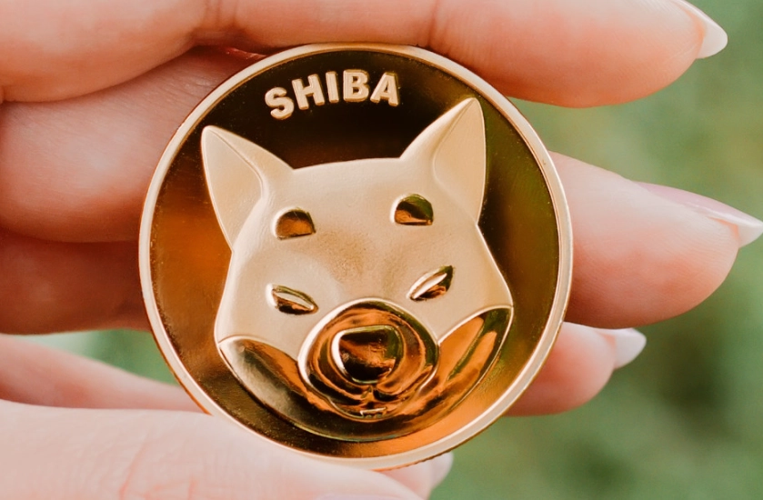 Shiba Coin future