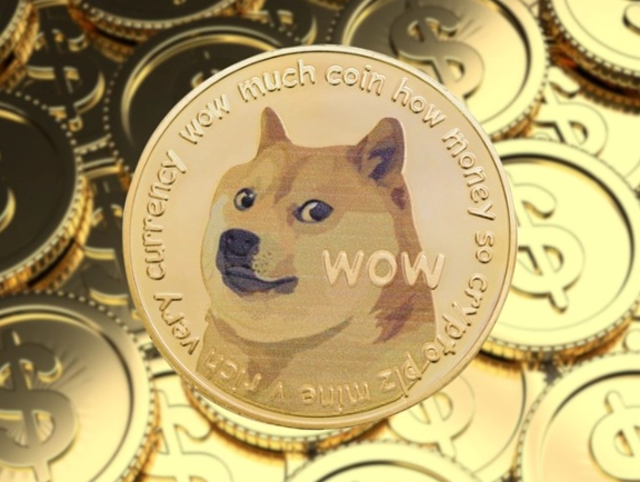 Dogecoin to USD converter