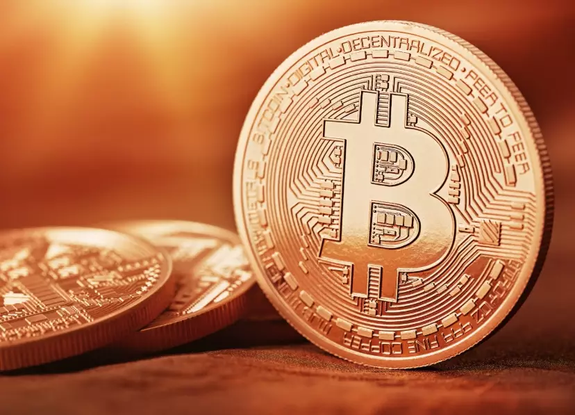 Best Bitcoin miner 2024