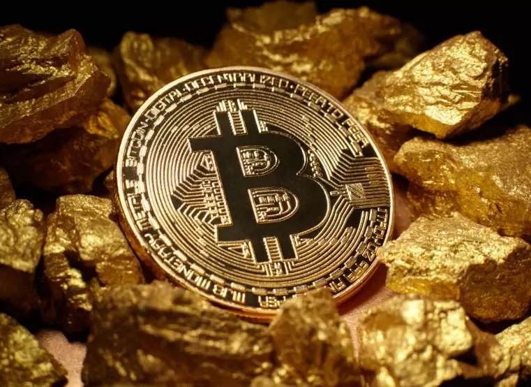 bitcoin gold vs bitcoin