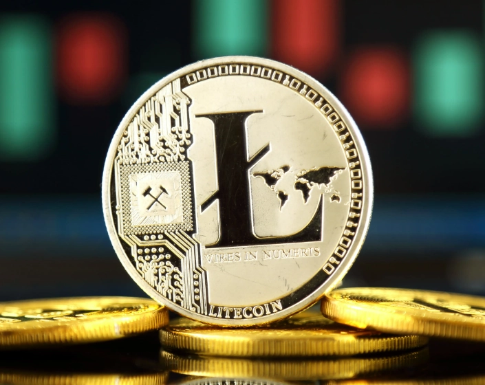what is Litecoin used for