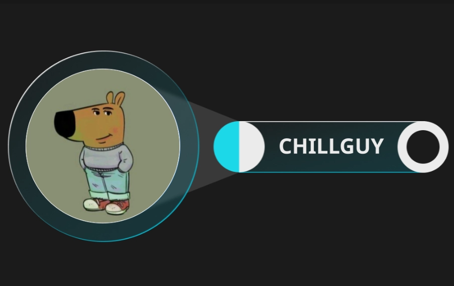 what is chillguy coin