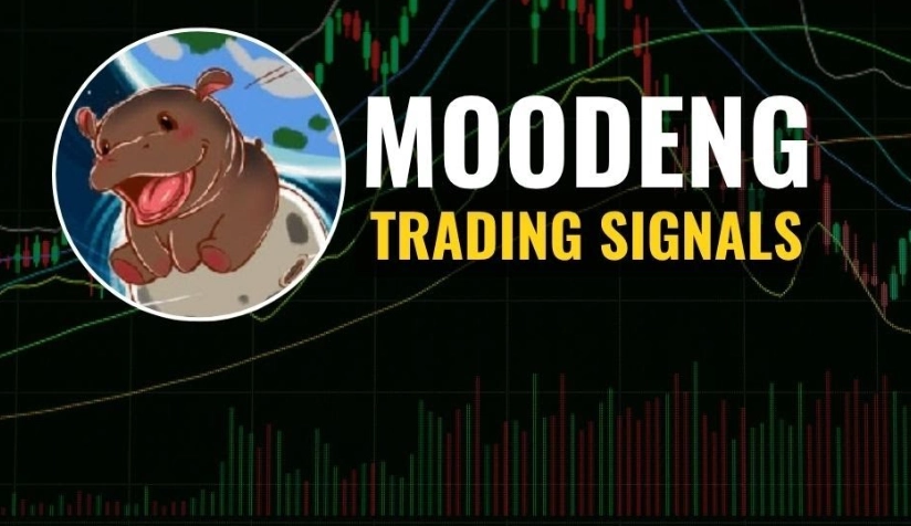 Moodeng coin analysis