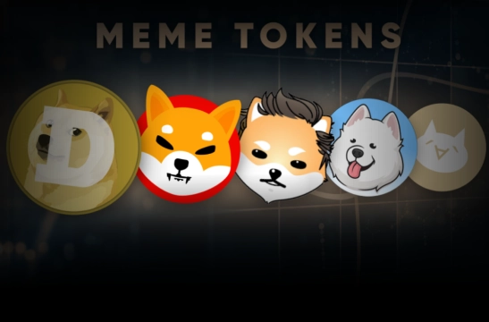 investing in meme coins