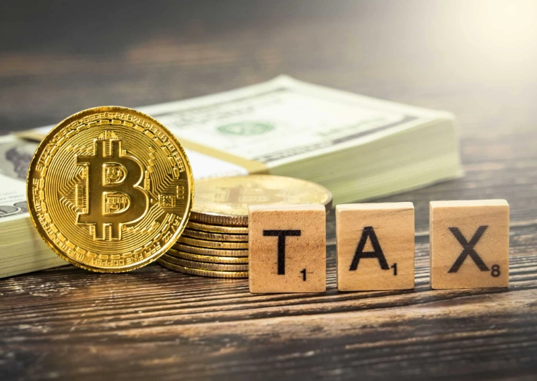 crypto tax software