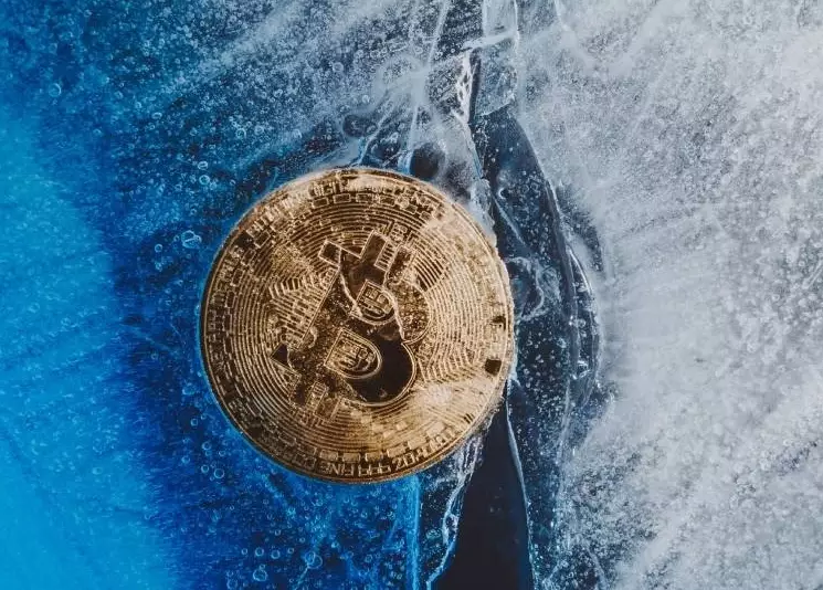 surviving crypto winter