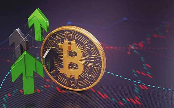 Crypto Wealth Management: A Practical Guide Beyond HODLing