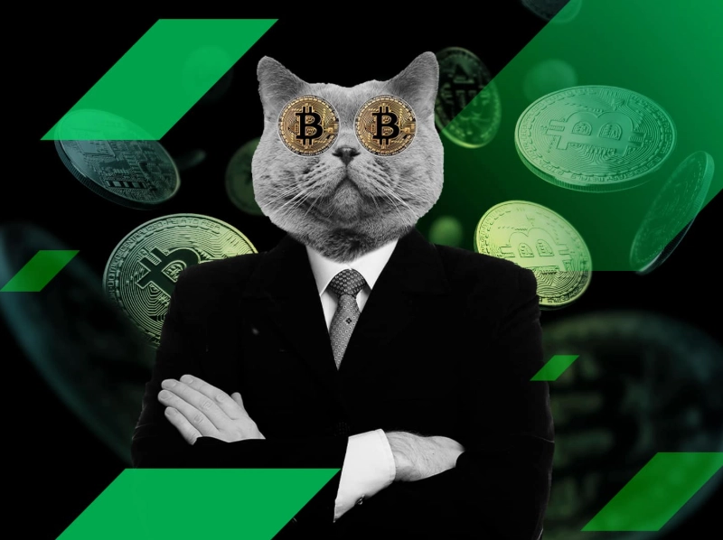 how to become a crypto trader how to become a crypto trader