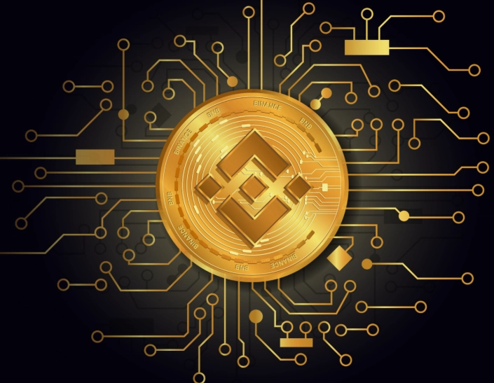 Binance Coin ecosystem