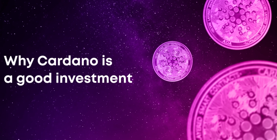 Cardano staking