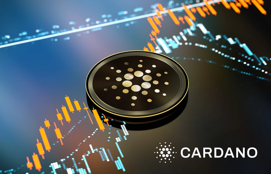 Cardano news