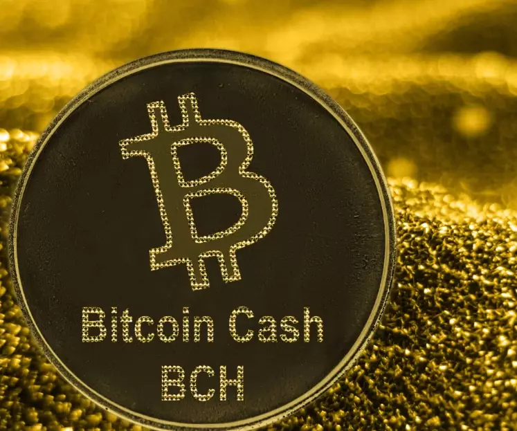 BCH logo