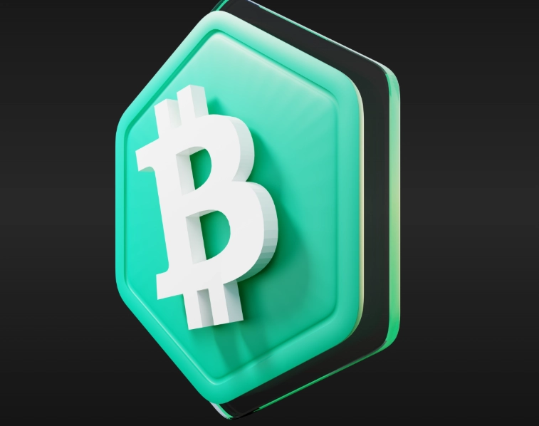 BCH logo