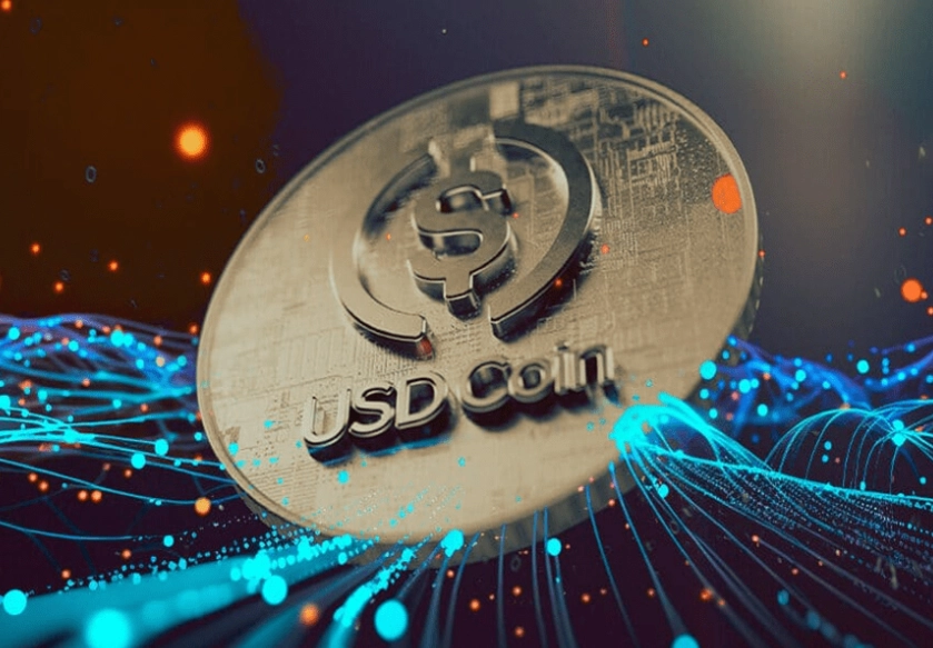 best blockchain for USDC